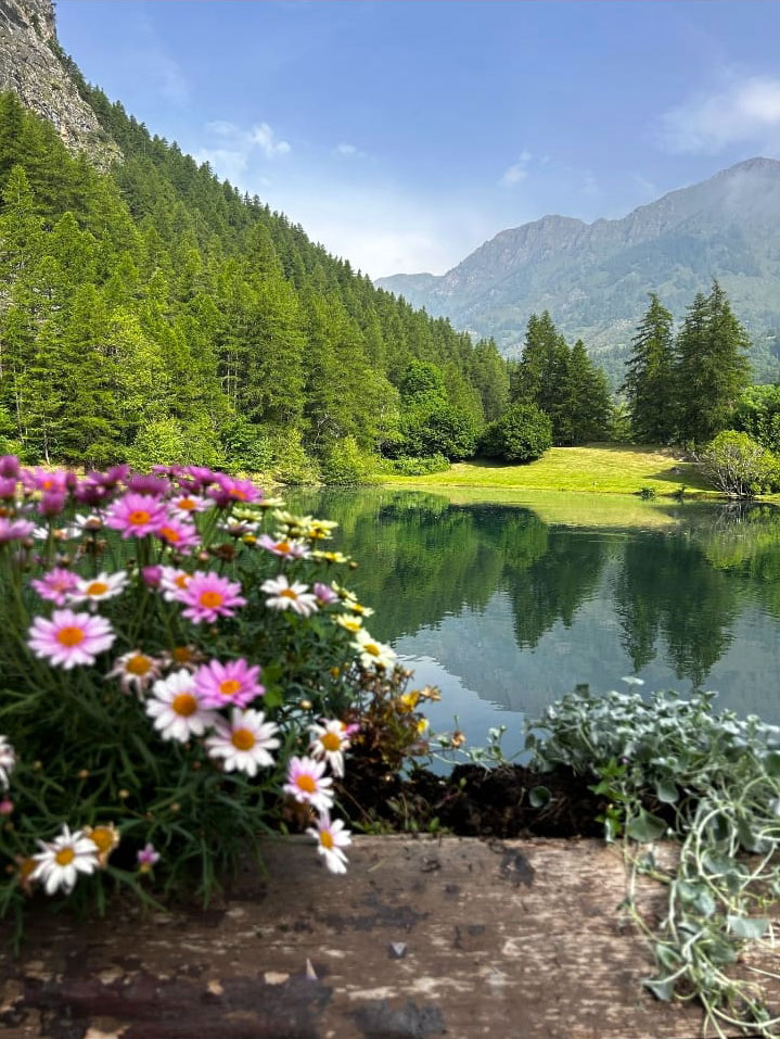 lago-fiori
